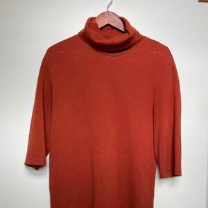 Zara - Turtle Neck Dress L